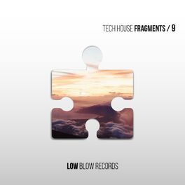 Album cover of Tech House Fragments 9