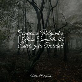 Album cover of Canciones Relajantes | Alivio Completo del Estrés y la Ansiedad