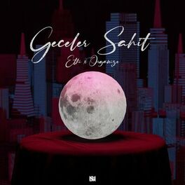 Album cover of Geceler Şahit