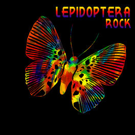 Album cover of Lepidoptera Rock, Vol. 2