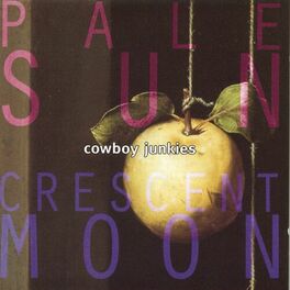 Album cover of Pale Sun Crescent Moon