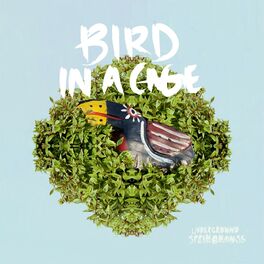 Album cover of Bird in a Cage