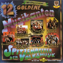 Album cover of 12 Goldene Musikanten