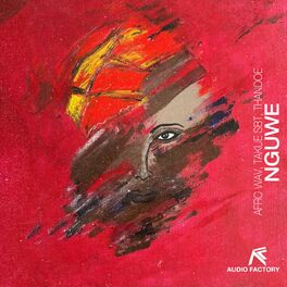 Album cover of Nguwe