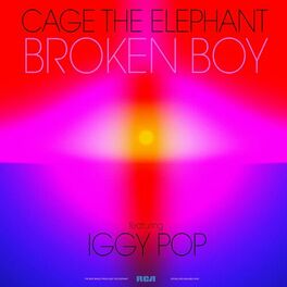 7 CAGE THE ELEPHANT. ideas  cage the elephant, lyrics, elephant