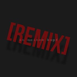 Album cover of in meinem kopf (RMX)