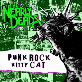 Album cover of Punk Rock Kitty Cat