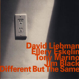 Album cover of Different but the Same