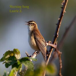 Album cover of Morning Song