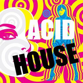 Album cover of Acid House: 101 Acid House Music