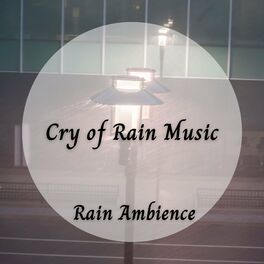 Album cover of Rain Ambience: Cry of Rain Music - 1 Hour
