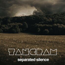 Album cover of Separated Silence