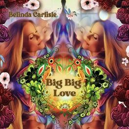 Album cover of Big Big Love