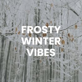 Album cover of Frosty Winter Vibes