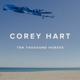 Album cover of Ten Thousand Horses