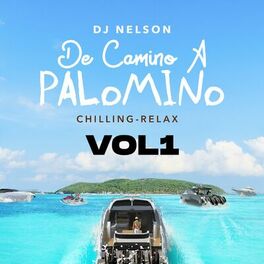 Album cover of De Camino A Palomino, Vol. 1
