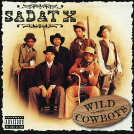 Album cover of Wild Cowboys