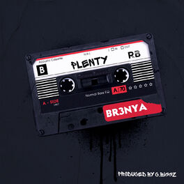 Album cover of Plenty (Too Trendy)