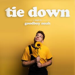 Album cover of tie down