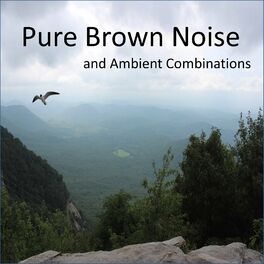 Album cover of Pure Brown Noise and Ambient Combinations (Loopable and without Fade)