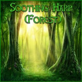 Album cover of Soothing Harp (Forest)