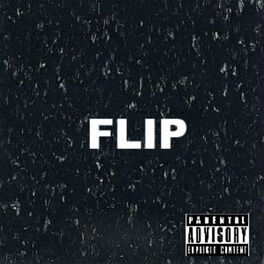 Album cover of Flip