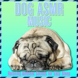 Album cover of Dog Asmr Music: Relaxing Ambient Sounds for Easy Sleep