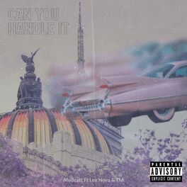 Album cover of Can You Handle It (feat. Lee Nova & TM)