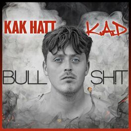 Album cover of Bullshit