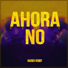 Album cover of Ahora No