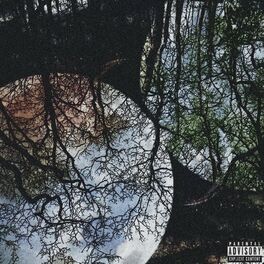 Album cover of Kuzgun