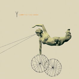 Album cover of Y