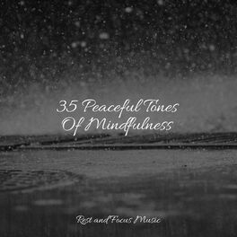 Album cover of 35 Peaceful Tones Of Mindfulness
