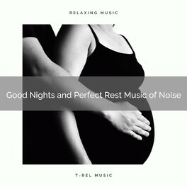 Album cover of 1 Good Nights and Perfect Rest Music of Noise