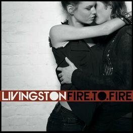 Album cover of Fire To Fire (Bonus Version)
