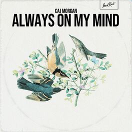 Album cover of Always on My Mind