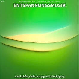 Album cover of #001 Entspannungsmusik zum Schlafen, Chillen und gegen Lärmbelästigung