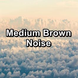 Album cover of Medium Brown Noise
