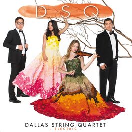Album cover of DSQ