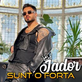 Album cover of Sunt O Forta