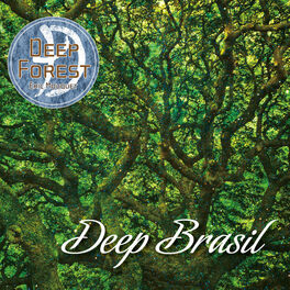 Album cover of DEEP BRASIL
