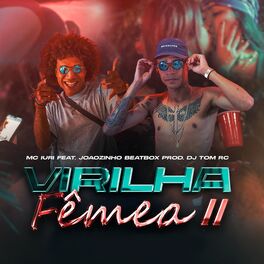 Album cover of Virilha Fêmea, Pt. 2