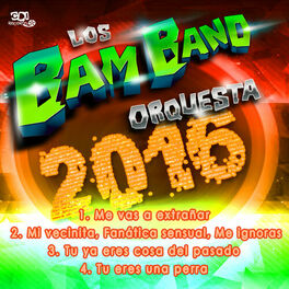 Album cover of Los Bam Band 2016