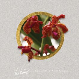 Album cover of Meridian