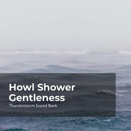 Album cover of Howl Shower Gentleness