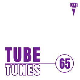 Album cover of Tube Tunes, Vol.65