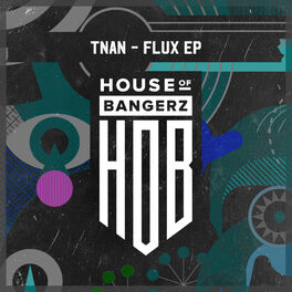 Album cover of Flux