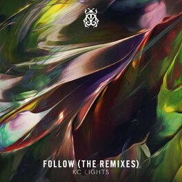 Album cover of Follow (The Remixes)