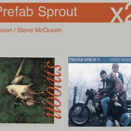 Album cover of Swoon/Steve McQueen