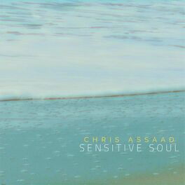 Album cover of Sensitive Soul